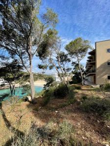 a building next to a beach with trees at Hostal Palmaria in Cala Santanyi