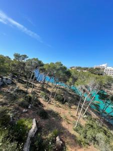 a group of trees on a hill next to the water at Hostal Palmaria in Cala Santanyi