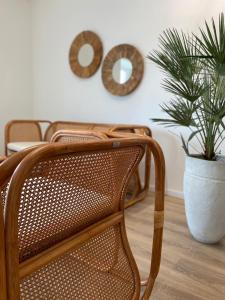 a chair and a potted plant in a room at BOHO Apartments in Jastrzębia Góra