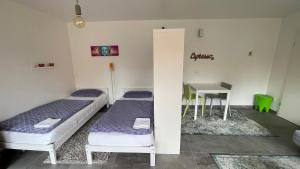 2 Betten in einem Zimmer mit einem Tisch und einem Schreibtisch in der Unterkunft Messeapartment Dutzendteich in Nürnberg