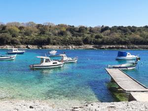 a group of boats docked at a dock in the water at Apartment Mamut in Premantura