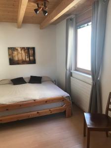 a bedroom with a bed and a window at La Trapla in Samnaun