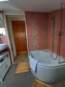 a bathroom with a bath tub and a shower at Apartment Mamut in Premantura