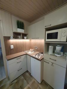 a small kitchen with a sink and a microwave at Apartman Ilike in Balatonfüred