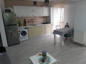 a kitchen with a refrigerator and a table with a plate on it at Flory`s Apartment Mamaia in Mamaia