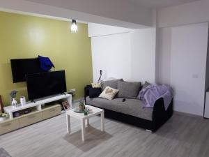 a living room with a couch and a tv at Flory`s Apartment Mamaia in Mamaia