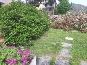 a garden with pink flowers and bushes at Palio Villa in Paleo Tsifliki