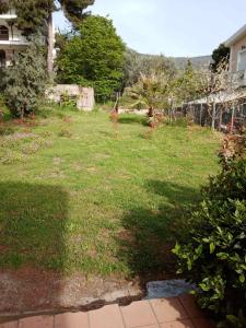 a yard with green grass and trees and a building at Palio Villa in Paleo Tsifliki