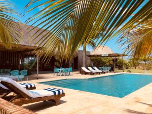 a swimming pool with chairs and a palm tree at Territorio Magico Dibulla in Dibulla