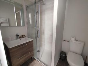 W łazience znajduje się prysznic, toaleta i umywalka. w obiekcie Les Charmilles w mieście Amboise
