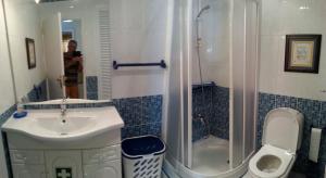 ein Bad mit einem Waschbecken, einer Dusche und einem WC in der Unterkunft Apartamento Limões in Carvoeiro