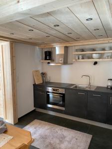 eine Küche mit Spüle und Herd im Zimmer in der Unterkunft Apart Alps & Nature in See