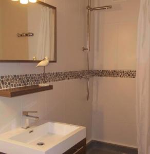 迪南的住宿－Foyti，浴室配有盥洗盆和带镜子的淋浴