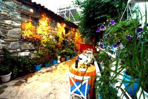 a garden with potted plants and a building at Sirincem Pension in Selçuk