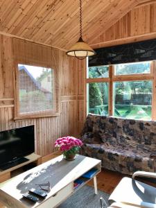 a living room with a couch and a tv at Domek Green Dźwirzyno in Dźwirzyno