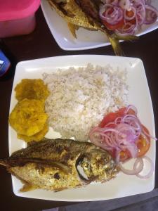 un plato de comida con arroz y pescado y verduras en Urantia Beach Hostel & Camping en San Onofre