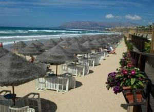 Táj Show holiday homes közelében