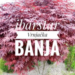 Fotografie z fotogalerie ubytování Apartman Ibarstar v destinaci Vrnjačka Banja