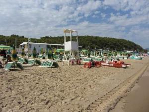Táj Show holiday homes közelében