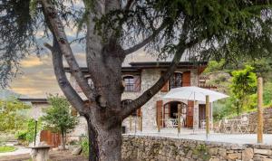 a building with a tree in front of it at Agriturismo dalla Mimmi in Dolceacqua