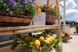 Afbeelding uit fotogalerij van Tenuta Cesarina in Alessano +92 foto's