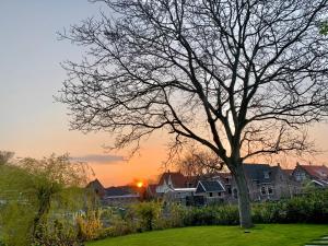 a tree in a yard with the sunset in the background at Dream Boutique Edam Coffee & Comfort in Edam
