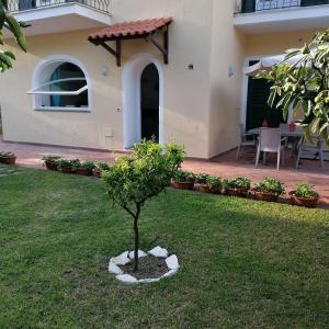 A garden outside A CASA