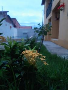 Fotografie z fotogalerie ubytování Chalés Residência Tatiane v destinaci Canoa Quebrada