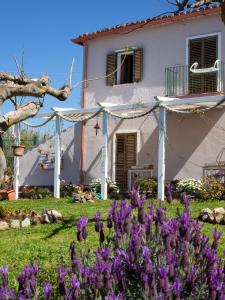 une maison avec des fleurs violettes devant elle dans l'établissement Al Passo di Thalia, à Ricadi