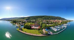 A bird's-eye view of Duplex Allegro