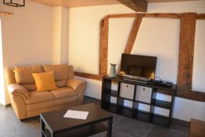 sala de estar con sofá y TV en Chez Pèpère, gîte charmant et tranquille, en Trois-Ponts
