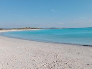 a beach with the ocean and blue water at Caletta Beach in Castiglioncello