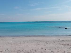 a beach with the ocean in the background at Caletta Beach in Castiglioncello