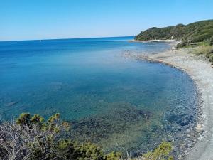 a view of the shoreline of a beach at Caletta Beach in Castiglioncello
