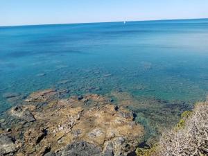 a view of the ocean from the shore at Caletta Beach in Castiglioncello