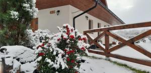 Holiday House Sabala 1 v zime