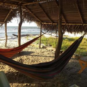 a hammock on a beach next to the ocean at Urantia Beach Hostel & Camping in San Onofre