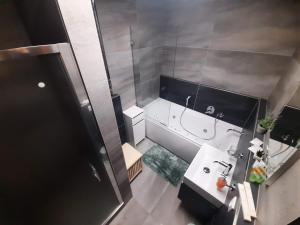 Koupelna v ubytování Apartmán Blatná