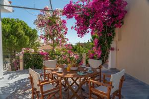 Fotografie z fotogalerie ubytování Iris Apartments v destinaci Minia + 85 fotografií