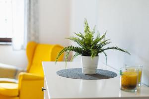 A seating area at Vila Olívia - Apartmán Olívia 1