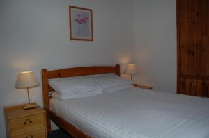 a bedroom with a bed and two night stands with lamps at Woodland Chestnut Lodge in Killin