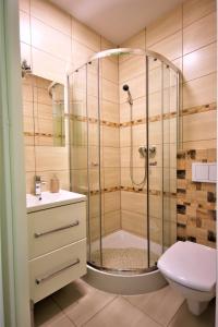 a bathroom with a shower and a toilet at Pensjonat Stary Busko Zdrój in Busko-Zdrój