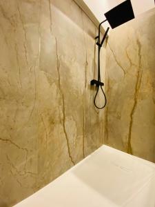 a bathroom with a shower with a light on the wall at Gîte du Maupelin tout confort Full équipé pour 4 personnes in Namur +25 photos