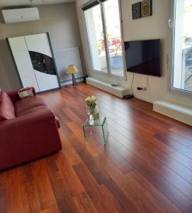 a living room with a couch and a television at Bel appartement in Strasbourg