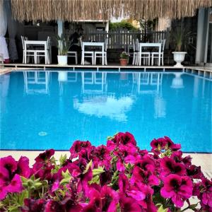 アラカティにあるAlacati Eldoris Butik Hotelの紫色の花と椅子が備わるスイミングプール