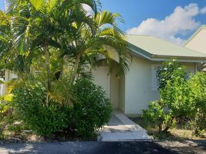 a house with a palm tree in front of it at Villa Les Flambloyants in Baréto
