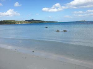 a beach with some rocks in the water at Hotel La Palma in San Teodoro