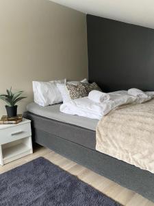 Postel nebo postele na pokoji v ubytování Reine City Apartment