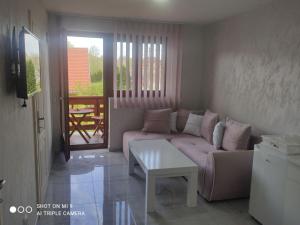 a living room with a couch and a table at Apartmani ODMOR NA DRINI in Ljubovija
