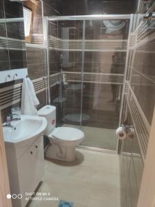 a bathroom with a shower and a toilet and a sink at Apartmani ODMOR NA DRINI in Ljubovija